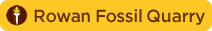 rowan_fossil_quarry_button